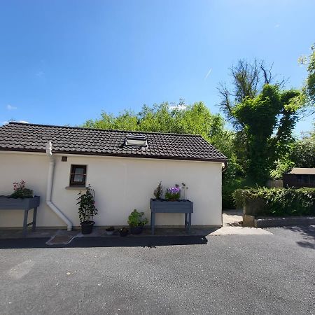 Oak Cottage 3 Km From Rock Of Cashel Cashel  Εξωτερικό φωτογραφία