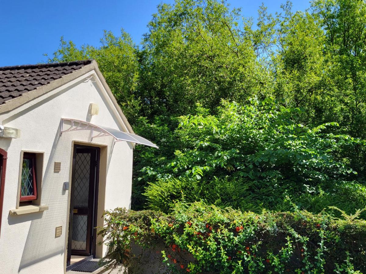 Oak Cottage 3 Km From Rock Of Cashel Cashel  Εξωτερικό φωτογραφία