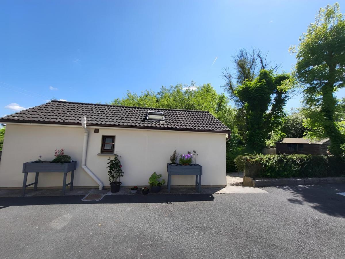 Oak Cottage 3 Km From Rock Of Cashel Cashel  Εξωτερικό φωτογραφία