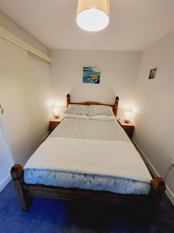 Oak Cottage 3 Km From Rock Of Cashel Cashel  Εξωτερικό φωτογραφία