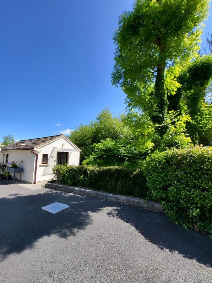 Oak Cottage 3 Km From Rock Of Cashel Cashel  Εξωτερικό φωτογραφία